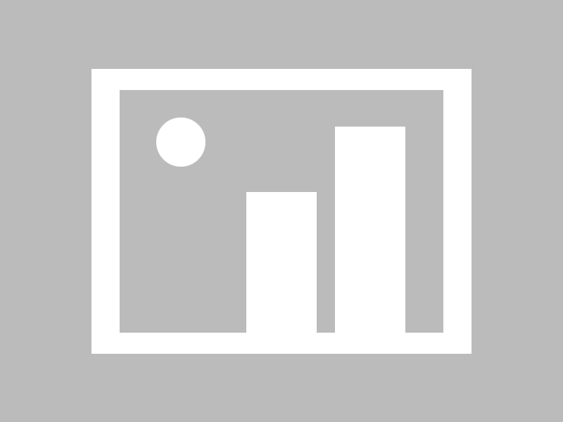 开云体育下载官网-年轻车坛新星：梦想之路的辛酸与坚持