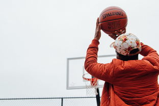 Kysports-篮球运动员训练计划科学制定与评估,篮球运动员训练计划科学制定与评估怎么写