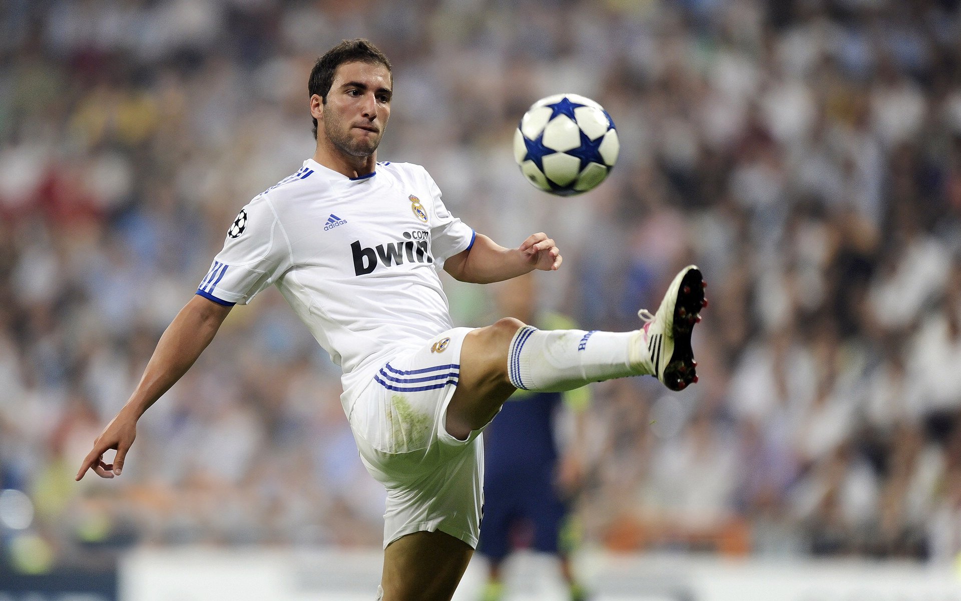 “未来之星：全国青少年足球精英赛引人关注”，校园足球未来之星申报材料2020年