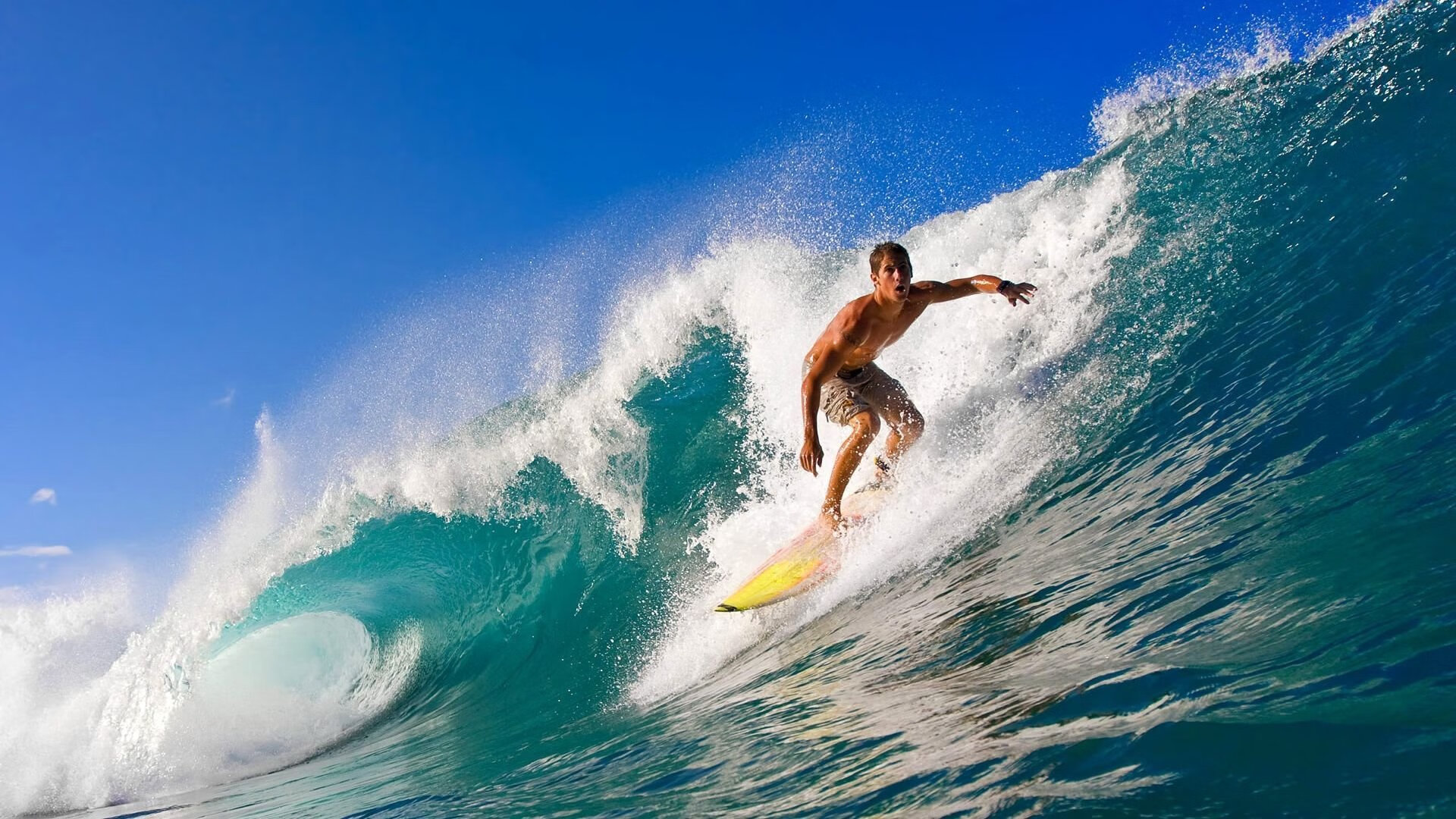 开yun体育-赛场突发事件：意外场面引发热议，比赛现场突发情况应对